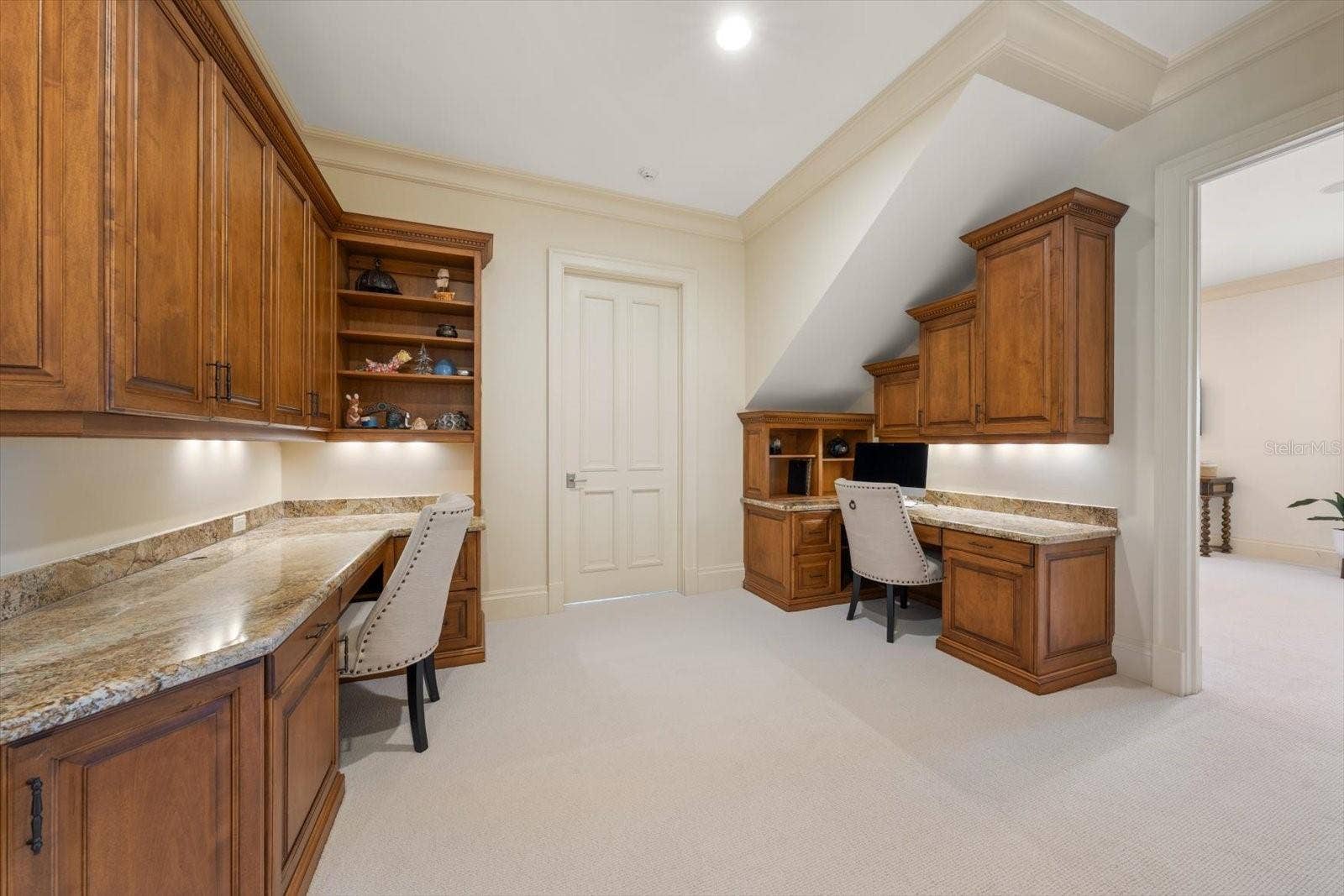 2056 COVE TRACE, Palm Harbor, FL 34685 Bonus Room ~ Study/Additional Office Space with Brand New Carpet!