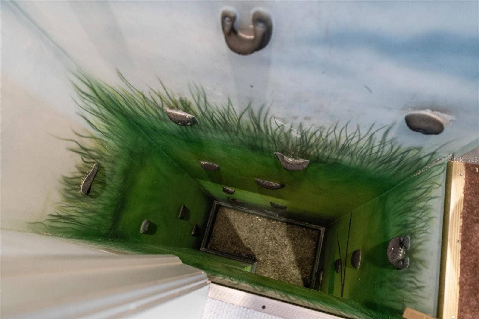 2056 COVE TRACE, Palm Harbor, FL 34685 Rock-Climbing Wall leads to Childrens Toy Room