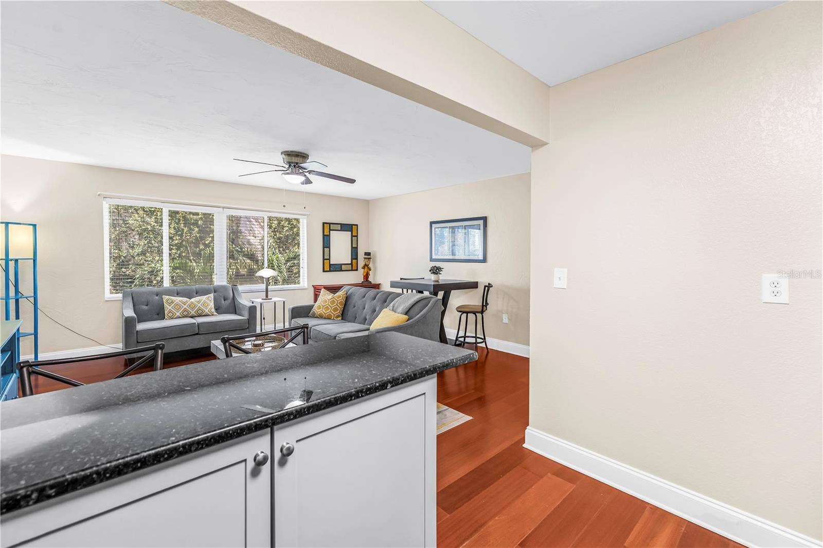 210 5TH AVENUE S, #303, St Petersburg, FL 33701 Granite counters