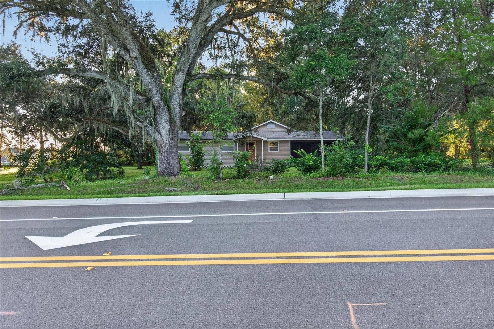 10019 CURLEY ROAD, San Antonio, FL 33576