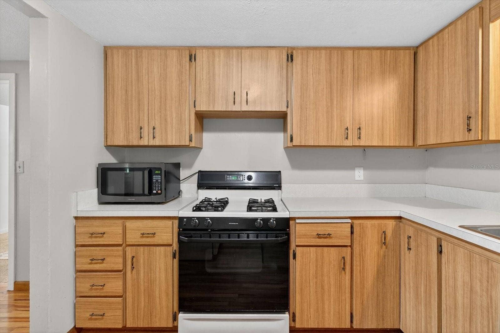 10019 CURLEY ROAD, San Antonio, FL 33576