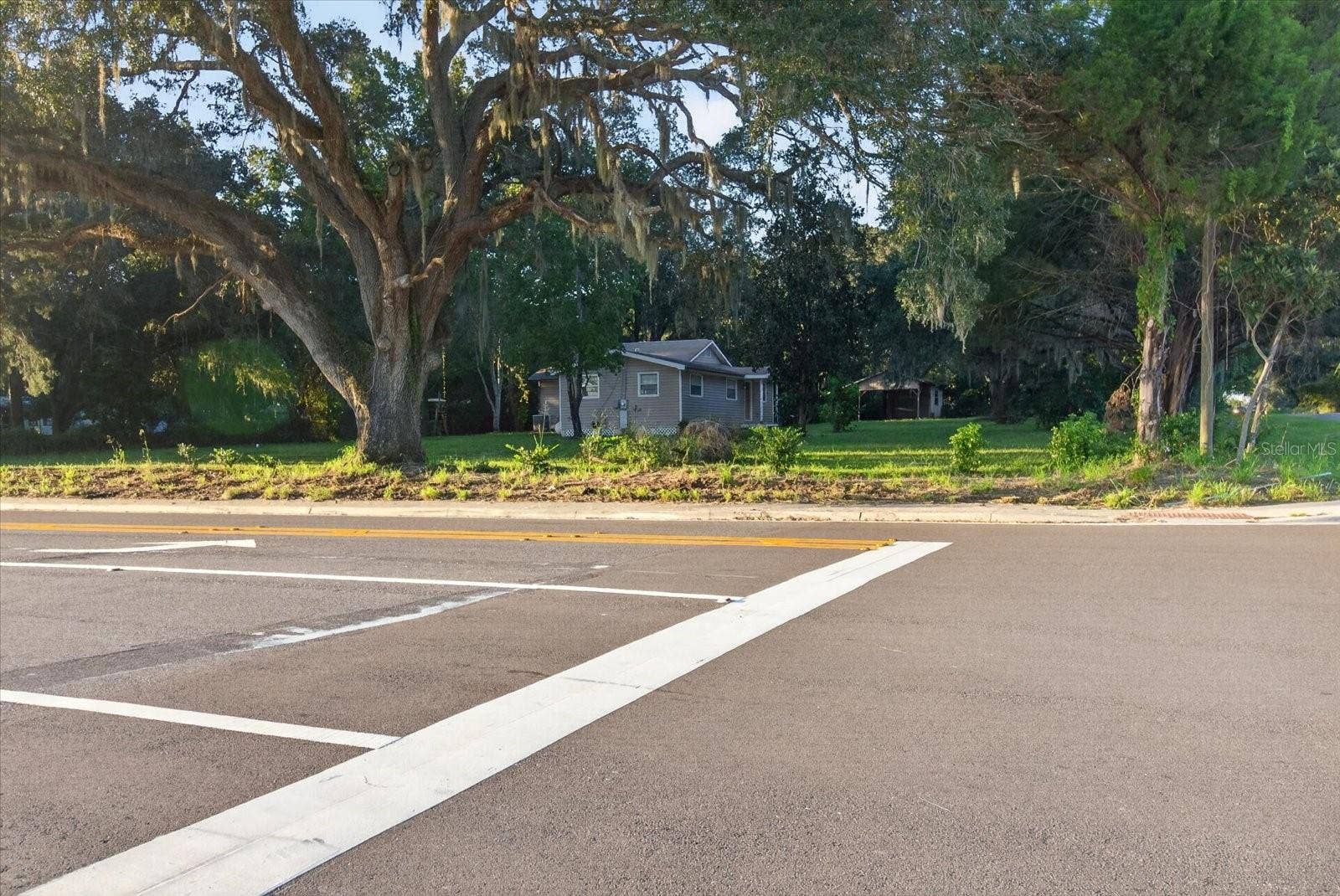 10019 CURLEY ROAD, San Antonio, FL 33576