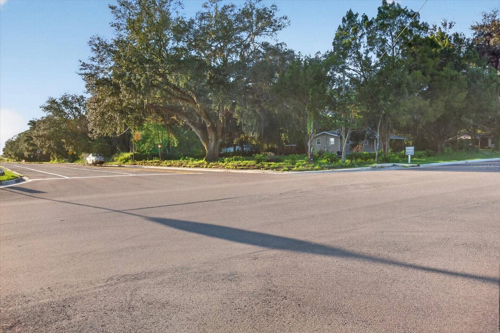 10019 CURLEY ROAD, San Antonio, FL 33576