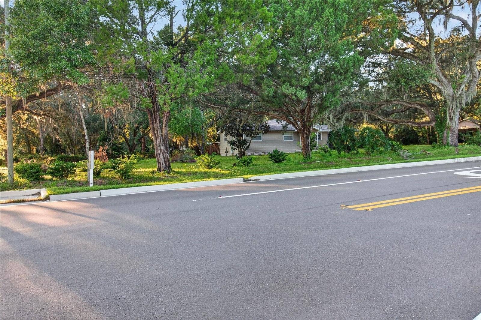 10019 CURLEY ROAD, San Antonio, FL 33576