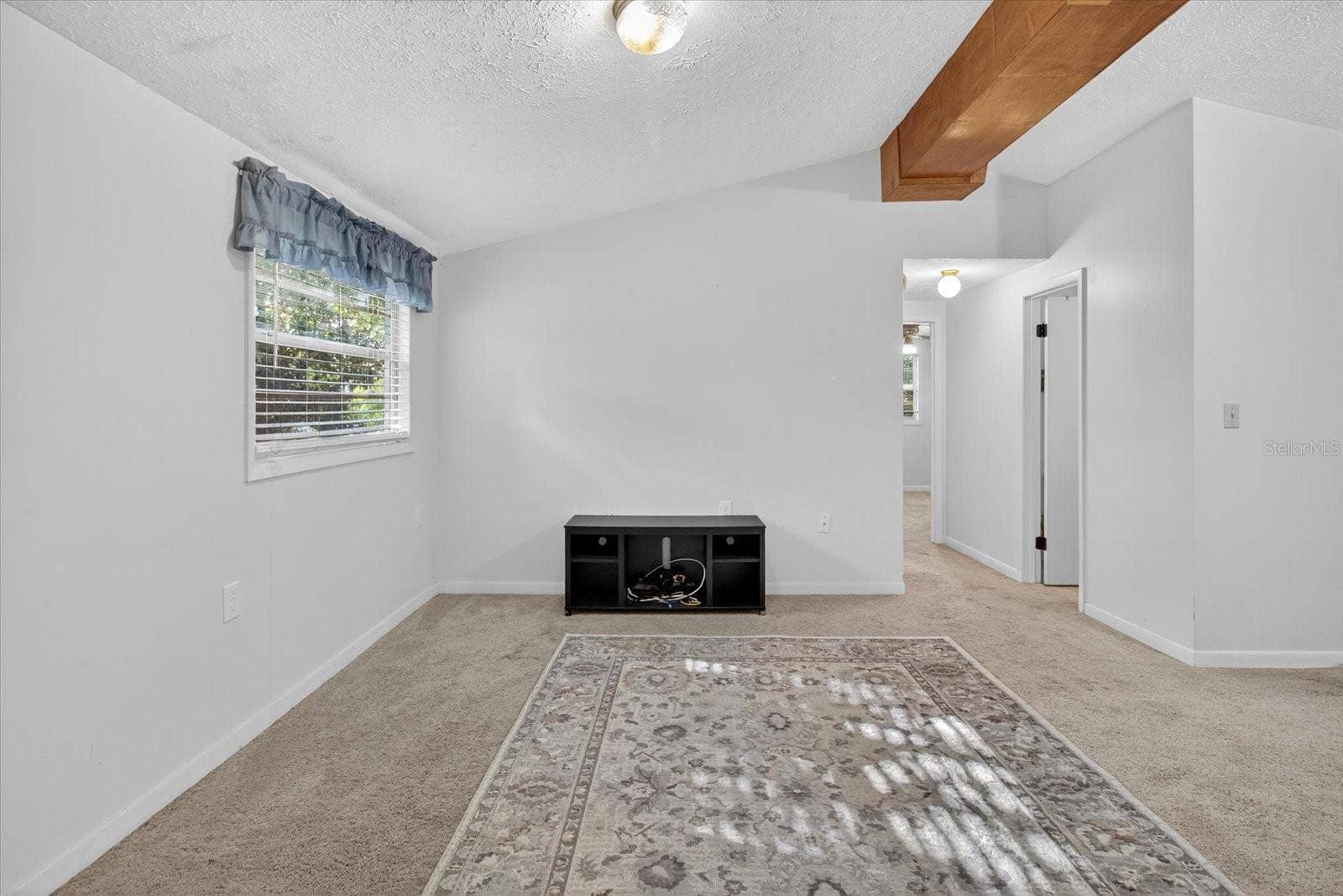 10019 CURLEY ROAD, San Antonio, FL 33576