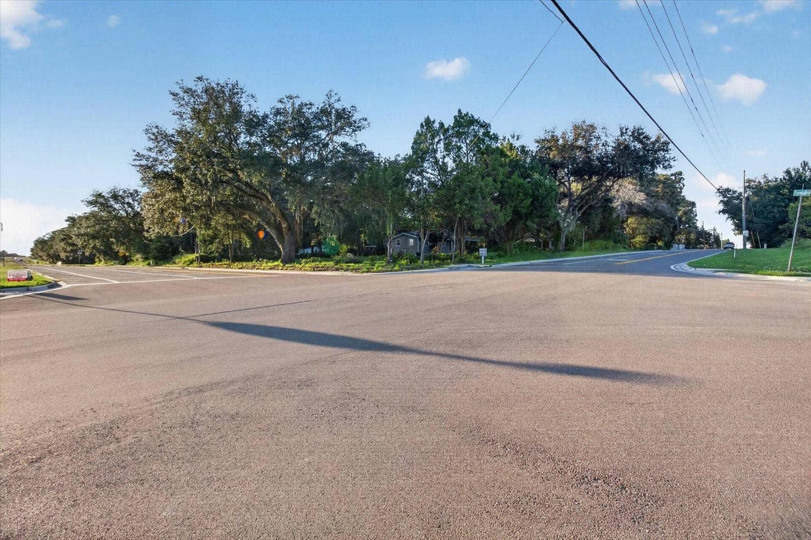 10019 CURLEY ROAD, San Antonio, FL 33576