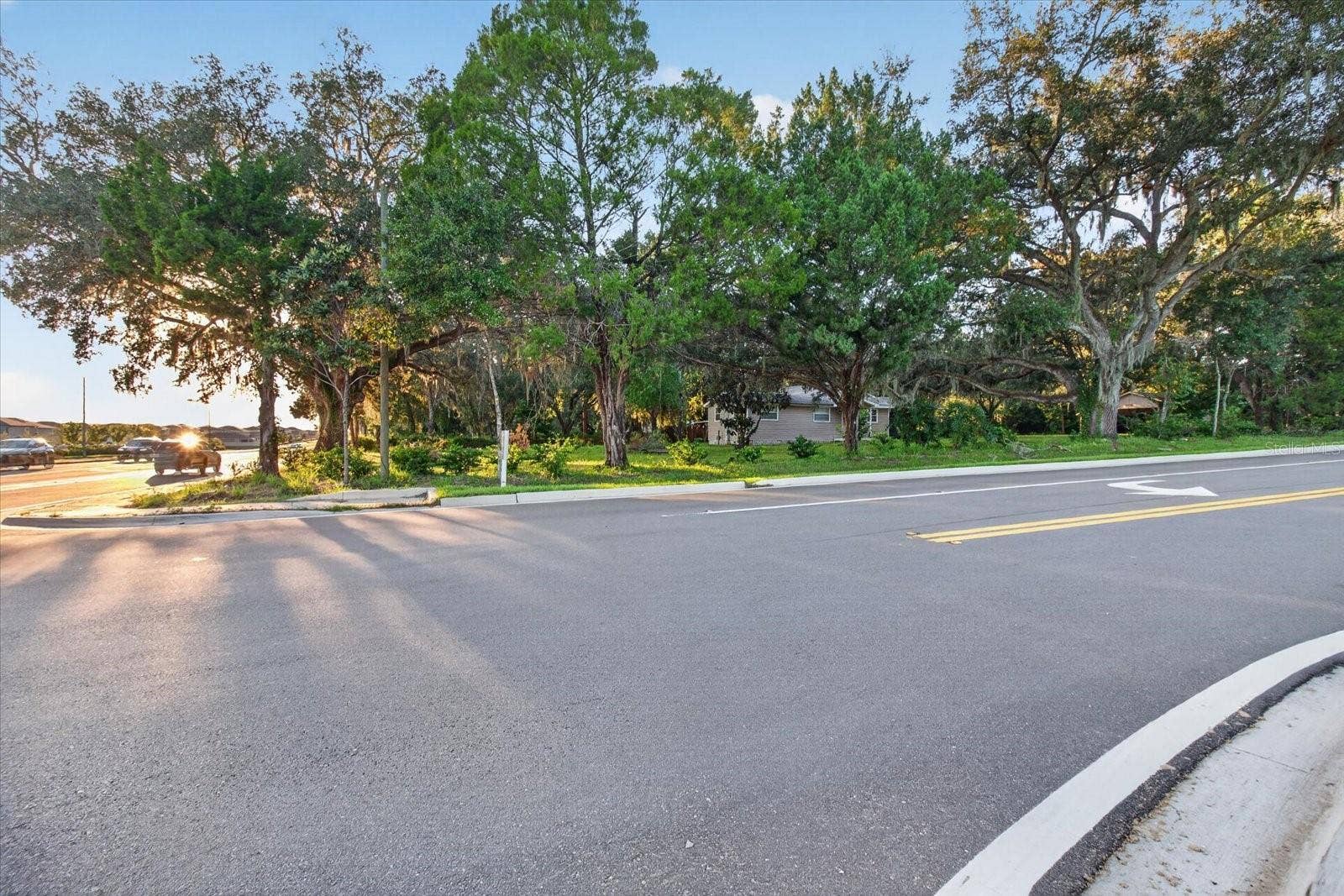 10019 CURLEY ROAD, San Antonio, FL 33576