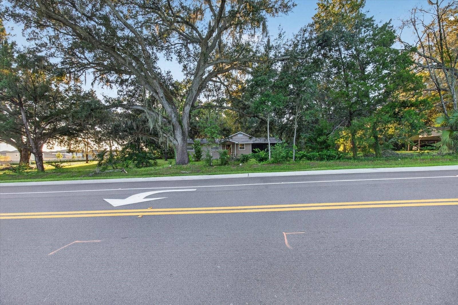 10019 CURLEY ROAD, San Antonio, FL 33576