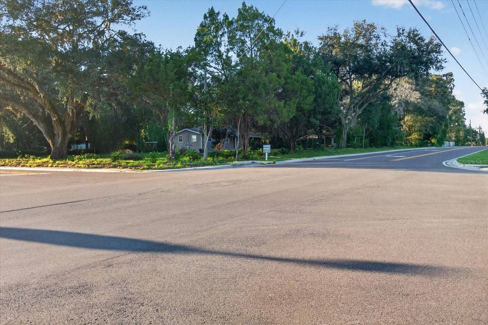 10019 CURLEY ROAD, San Antonio, FL 33576