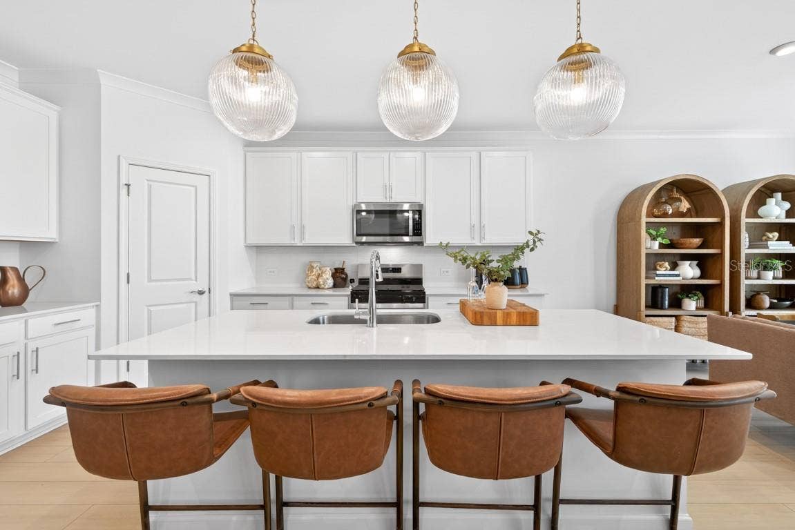 6603 BLAZING SPIRIT STREET, Wesley Chapel, FL 33545 Model Representation