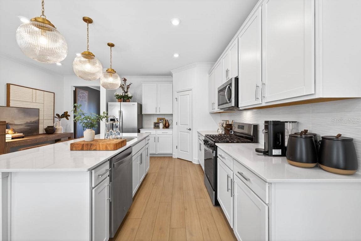 6603 BLAZING SPIRIT STREET, Wesley Chapel, FL 33545 Model Representation