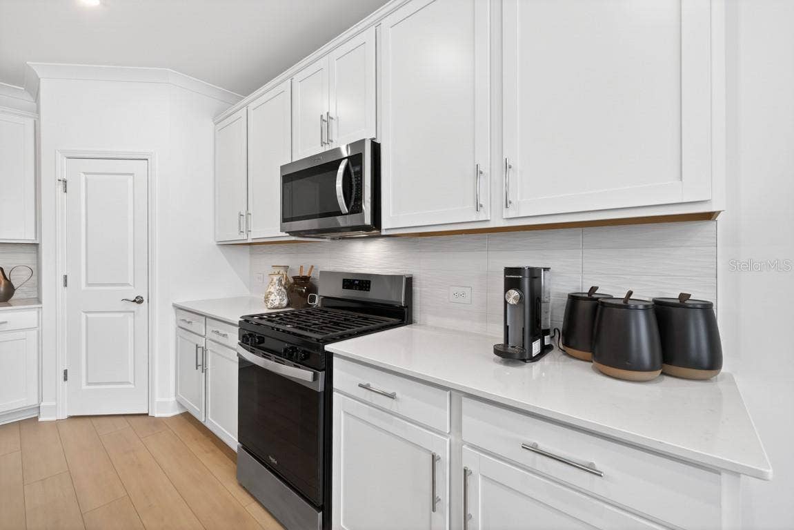 6603 BLAZING SPIRIT STREET, Wesley Chapel, FL 33545 Model Representation