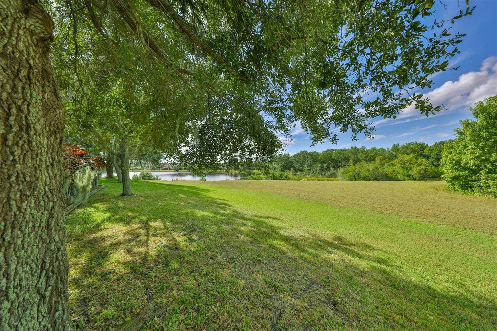 13914 CHALK HILL PLACE, Riverview, FL 33579