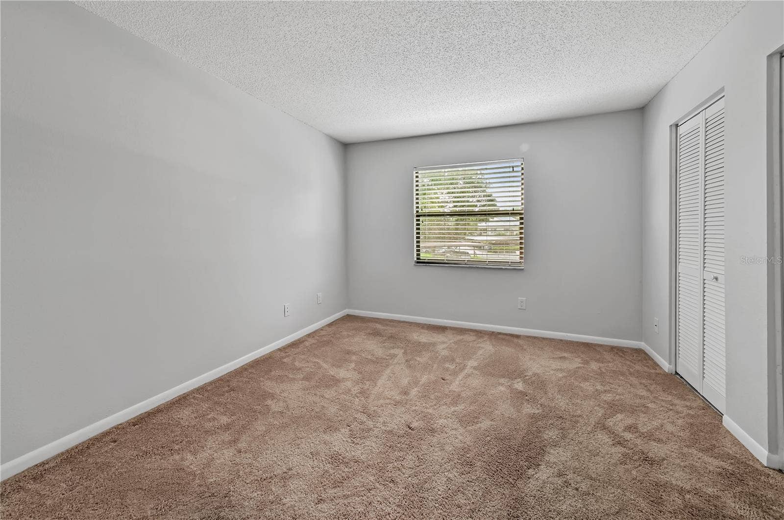 3399 MERMOOR DRIVE, #210, Palm Harbor, FL 34685