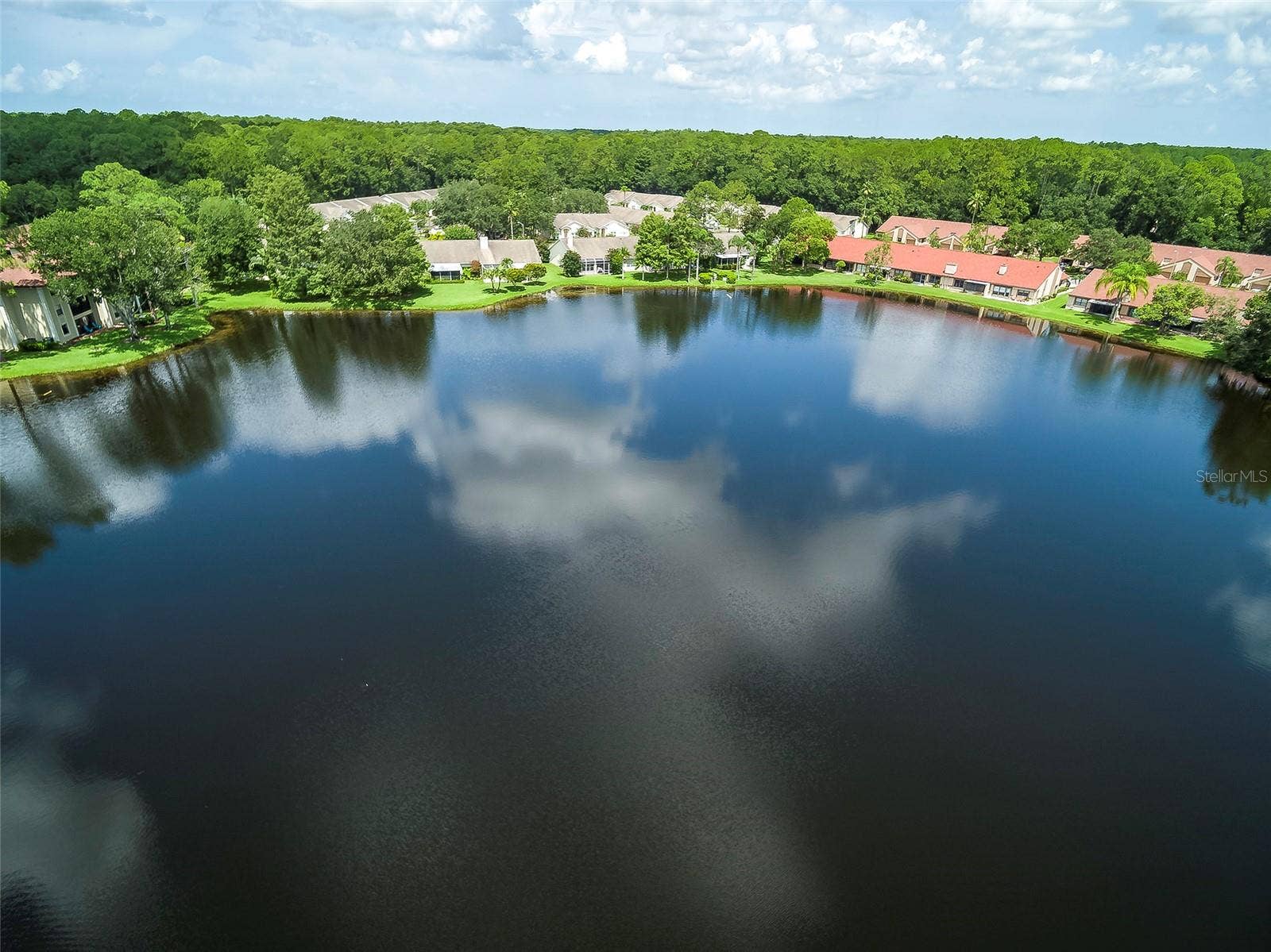 3399 MERMOOR DRIVE, #210, Palm Harbor, FL 34685