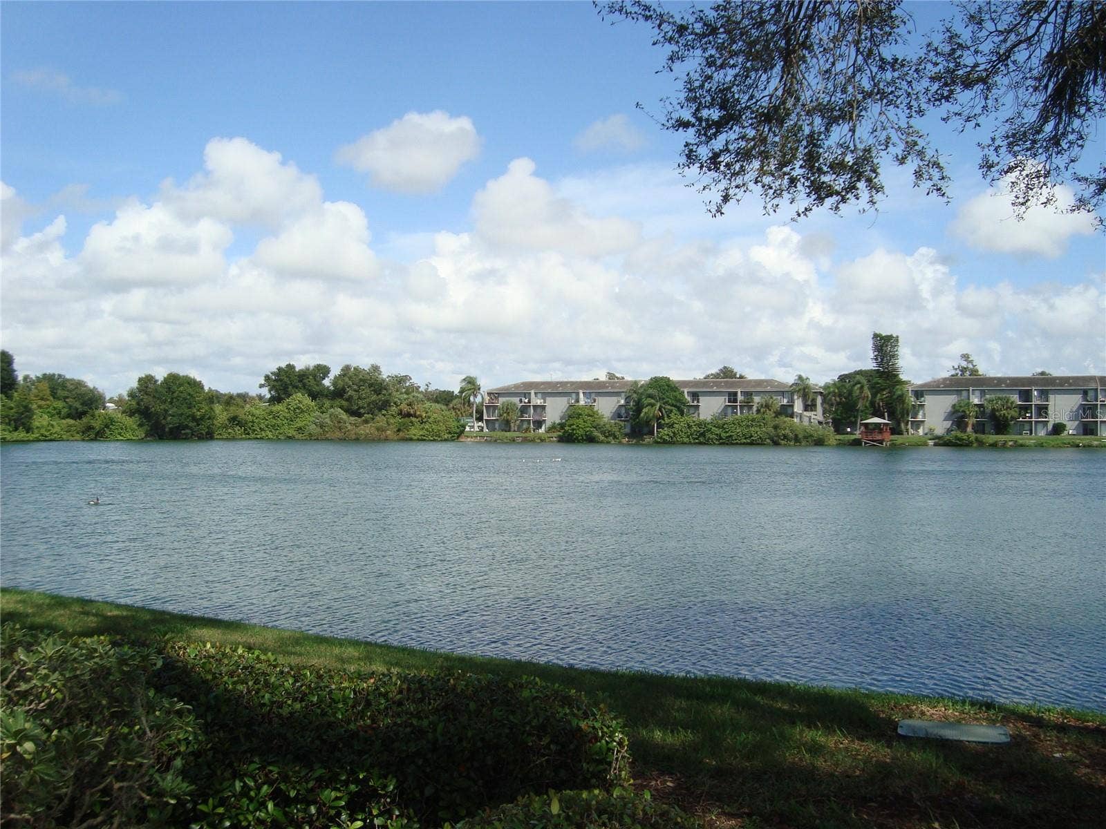 11485 OAKHURST ROAD, #A106, Largo, FL 33774 VERY NICE POND
