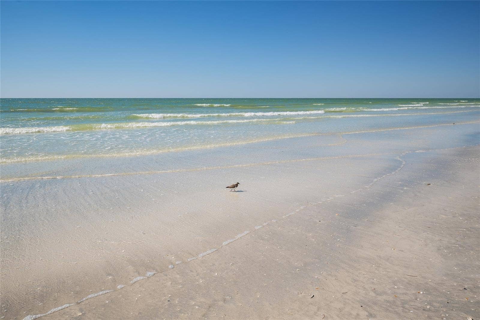 19600 GULF BOULEVARD, #202, Indian Shores, FL 33785