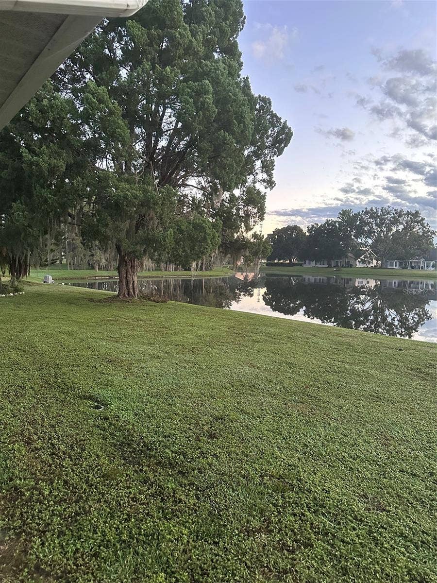 Morning view of backyard