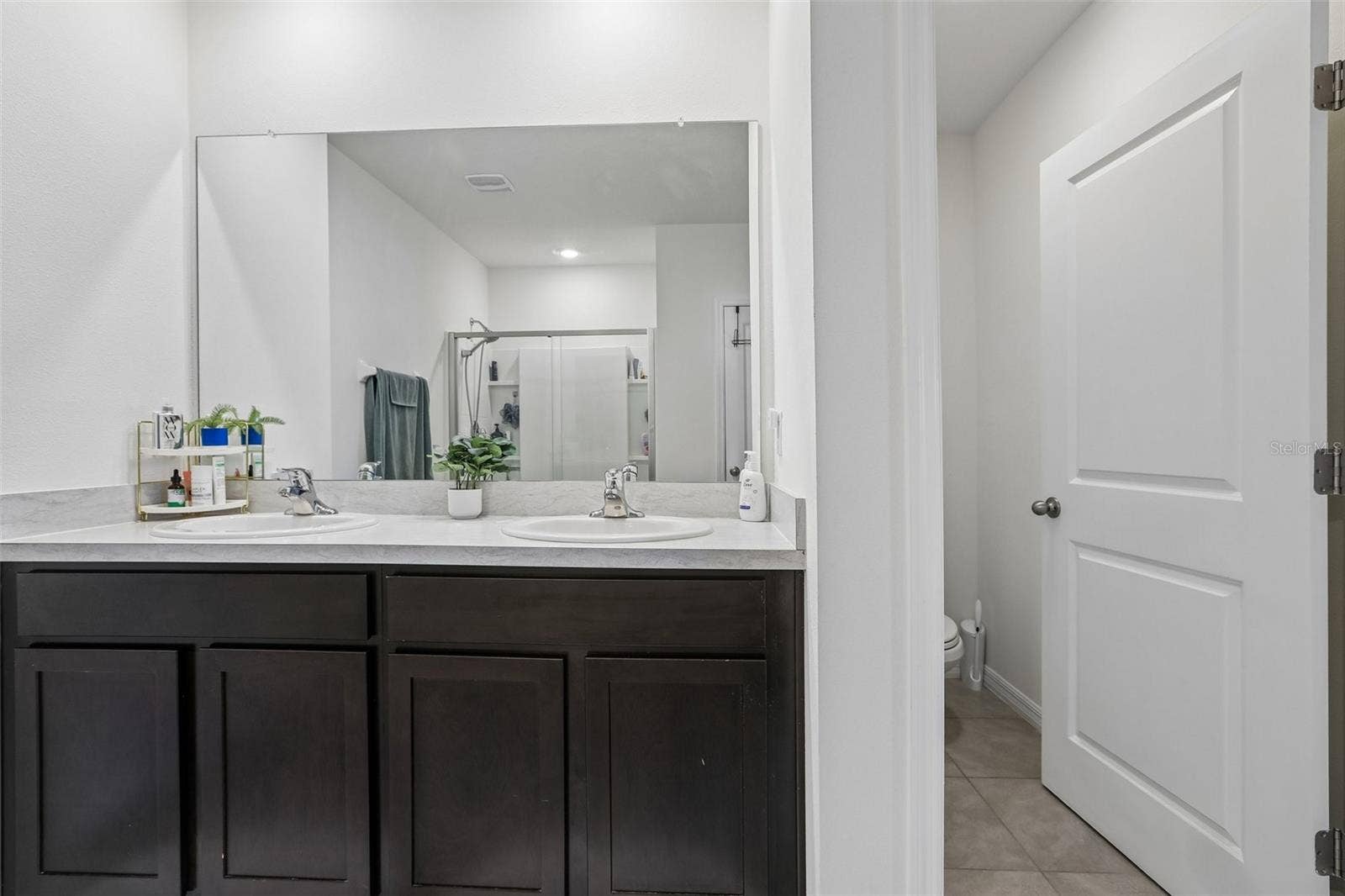 16150 WEATHERED WINDMILL TERRACE, Odessa, FL 33556 16150 WEATHERED WINDMILL TERRACE, Odessa, FL 33556