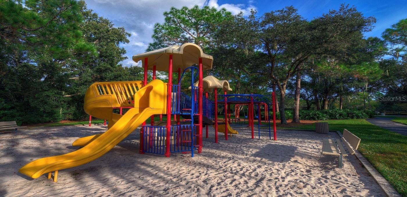 4730 WRENTHAM PLACE, Palm Harbor, FL 34685 Lansbrook Commons playground