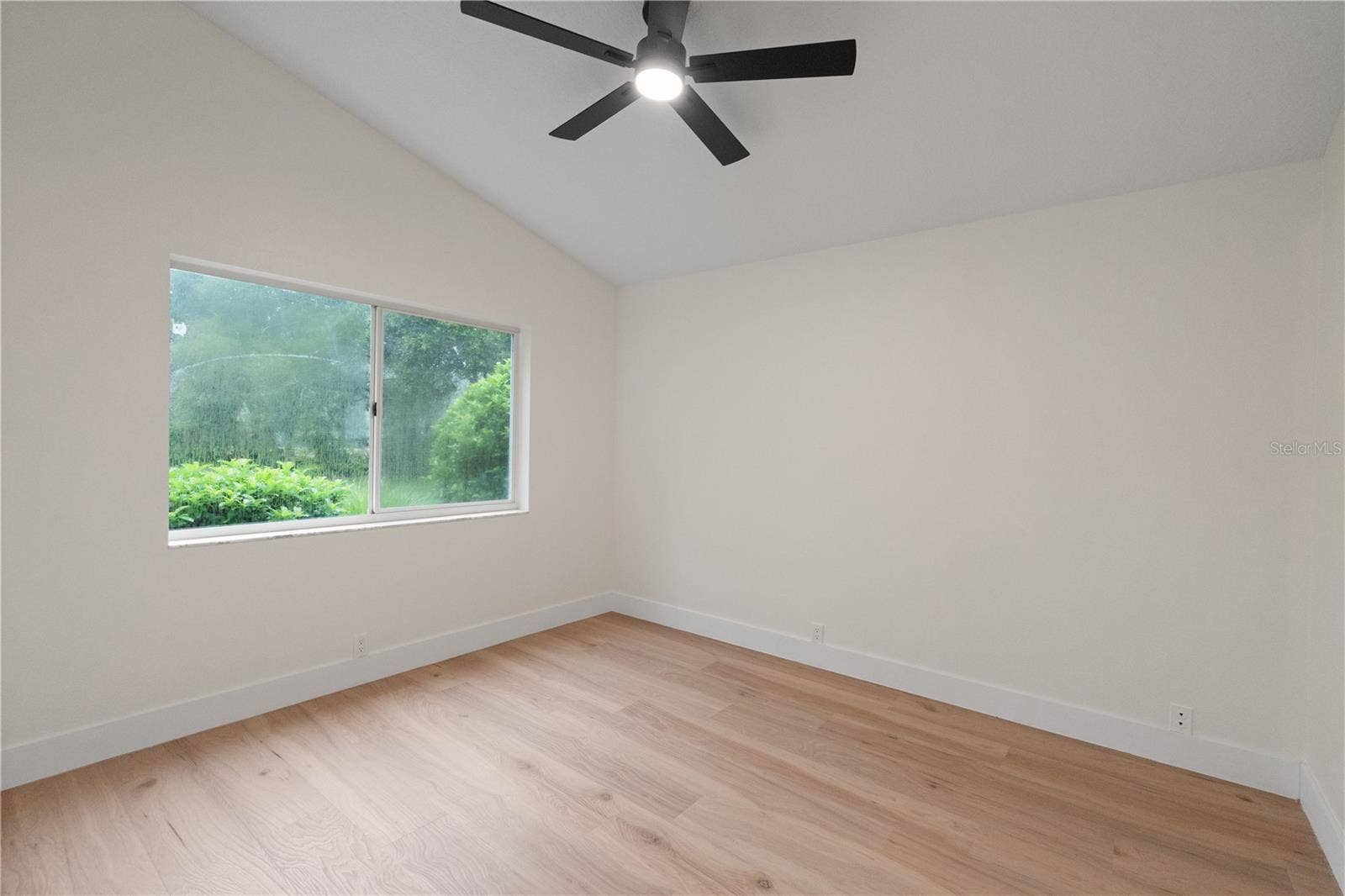 4730 WRENTHAM PLACE, Palm Harbor, FL 34685 Bedroom 4 - back bedroom perfect for a teen or in-law suite