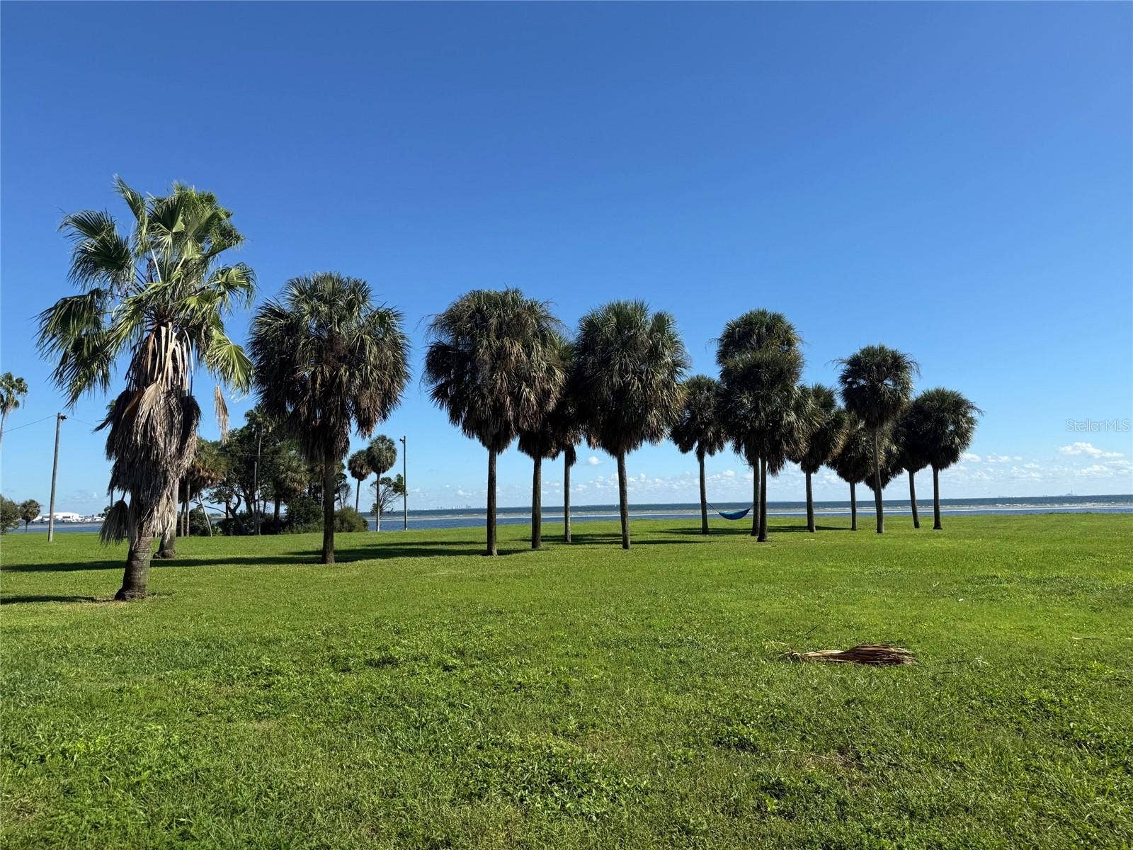 2534 BAYSIDE DRIVE S, St Petersburg, FL 33705 Beautiful spot to watch sunrise