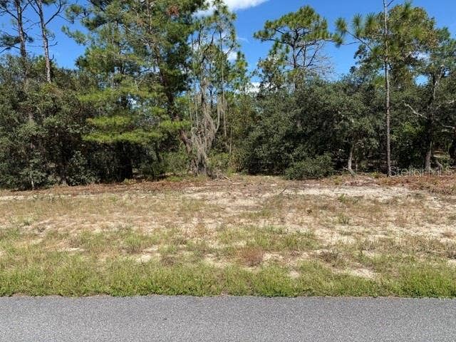 Property photo for 3039 W NAEGELIA PLACE, Citrus Springs, FL