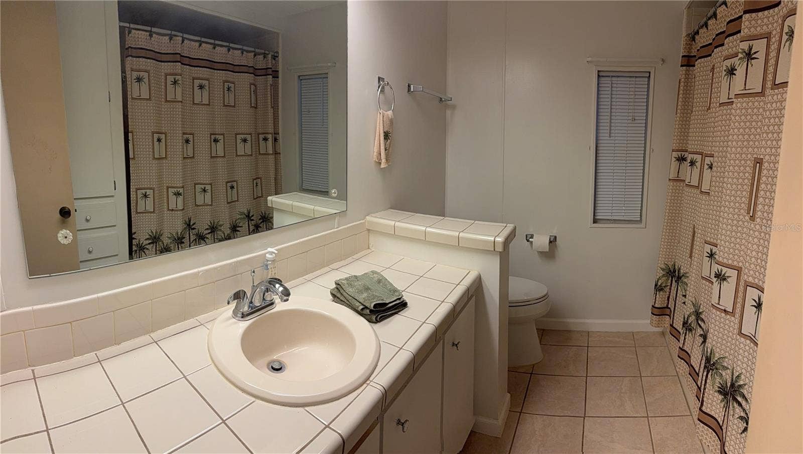 3301 2ND ST BOULEVARD, #261, Dunedin, FL 34698 Bathroom