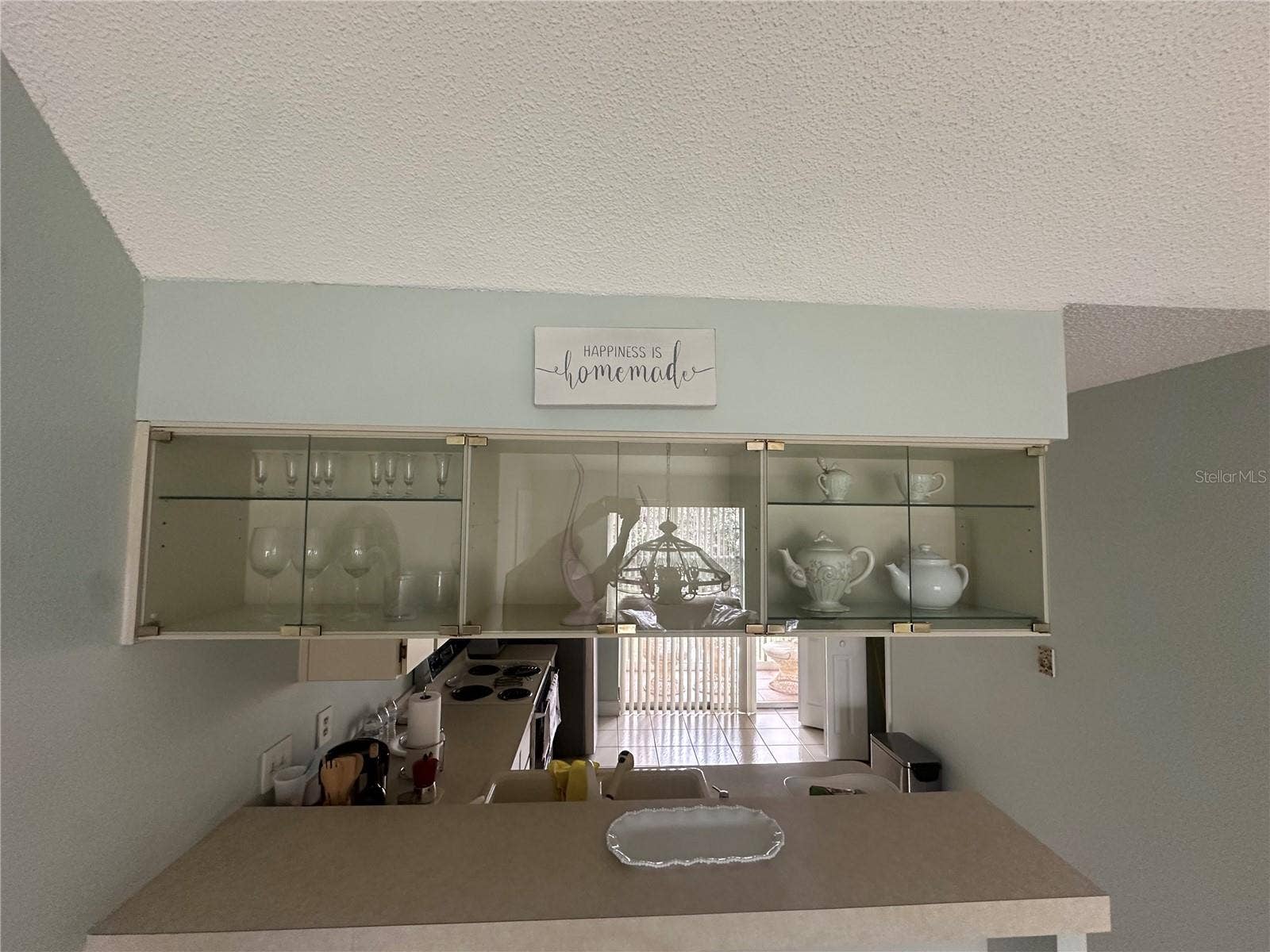 4805 SUNNYBROOK DRIVE, #26, New Port Richey, FL 34653 Overhead display cabinet