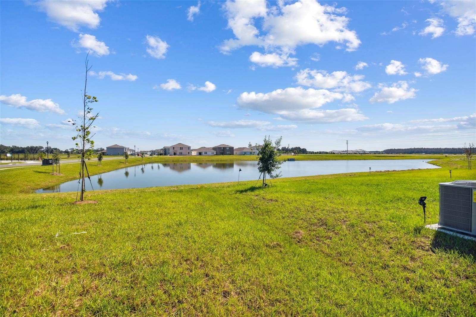 2774 COMMON FIG RUN, Wesley Chapel, FL 33543 2774 COMMON FIG RUN, Wesley Chapel, FL 33543