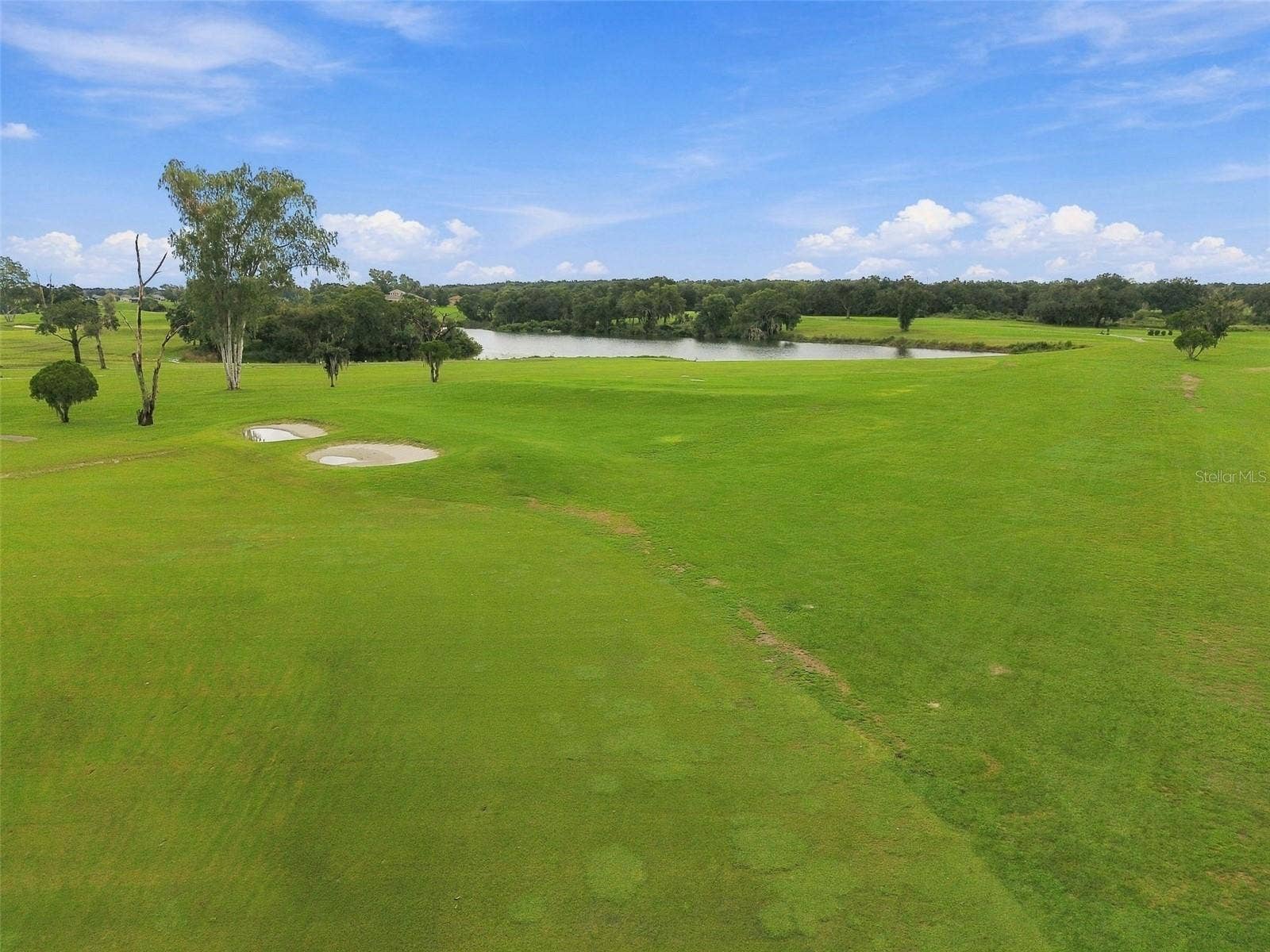 1519 BRILLIANT CUT WAY, Valrico, FL 33594 1519 BRILLIANT CUT WAY, Valrico, FL 33594