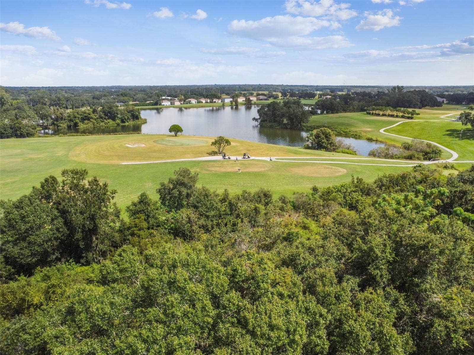 1519 BRILLIANT CUT WAY, Valrico, FL 33594 1519 BRILLIANT CUT WAY, Valrico, FL 33594
