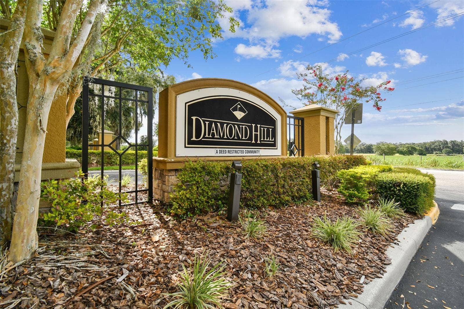 1519 BRILLIANT CUT WAY, Valrico, FL 33594 1519 BRILLIANT CUT WAY, Valrico, FL 33594