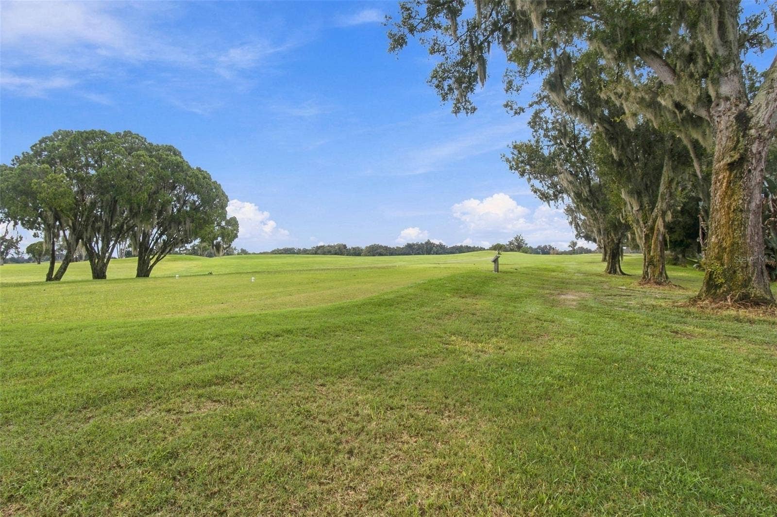 1519 BRILLIANT CUT WAY, Valrico, FL 33594 1519 BRILLIANT CUT WAY, Valrico, FL 33594