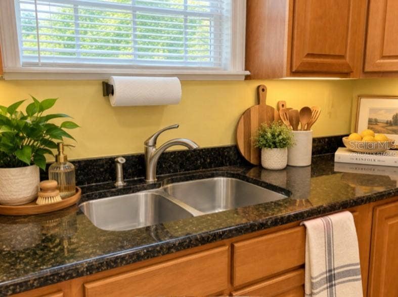 16421 HANNA ROAD, Lutz, FL 33549 Virtually staged - there is no countertop decor.