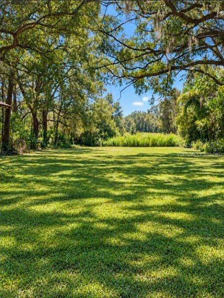 16421 HANNA ROAD, Lutz, FL 33549 Back Yard - NOT virtually staged