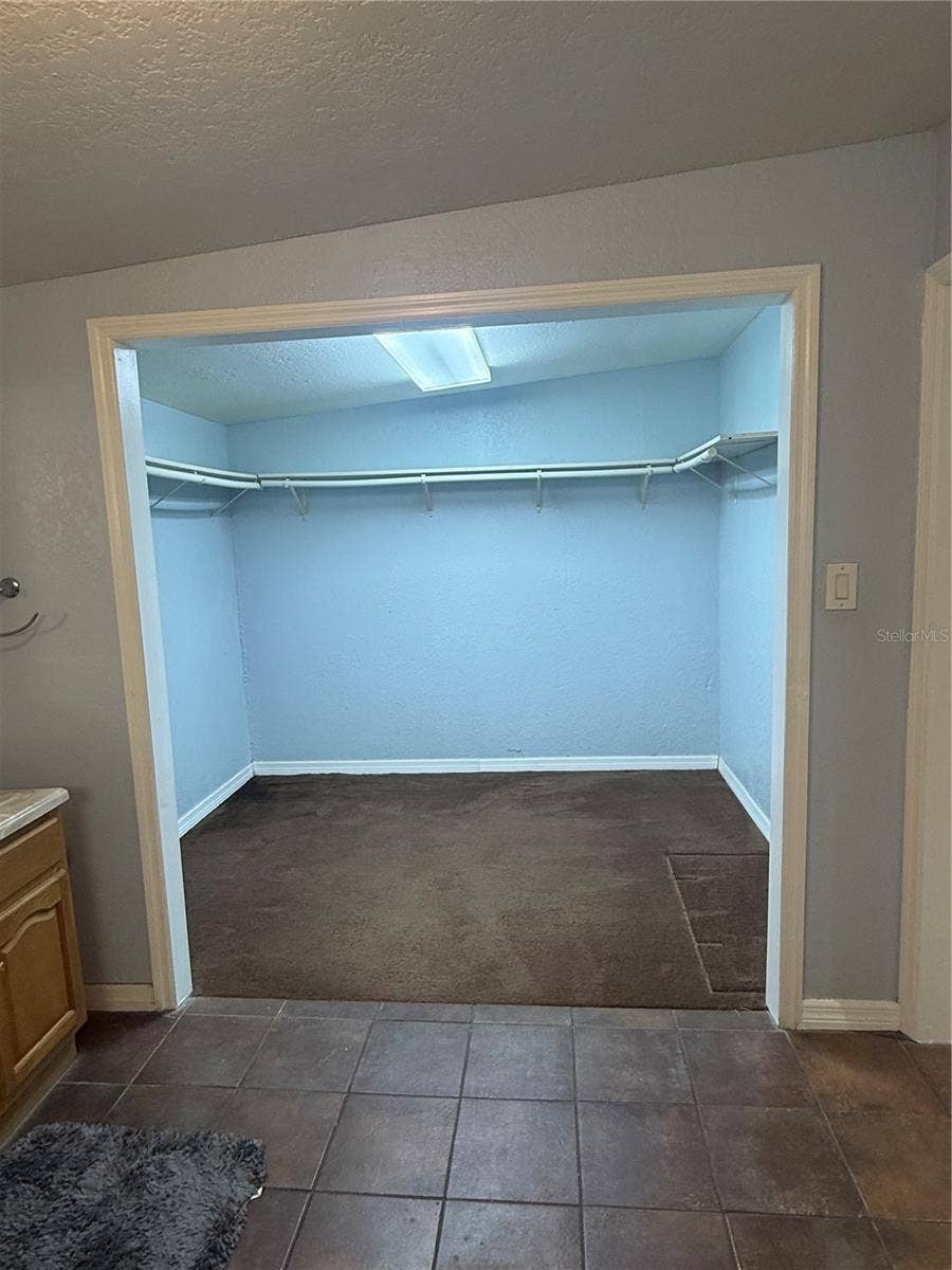 16421 HANNA ROAD, Lutz, FL 33549 Master bedroom walk-in closet, not staged