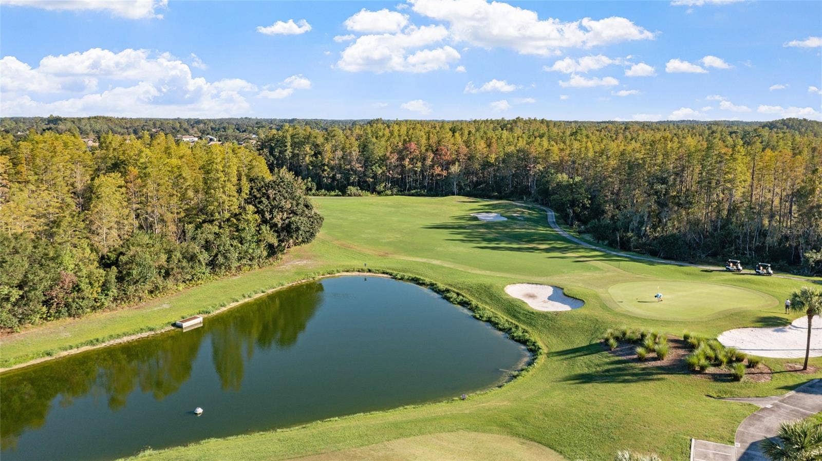 8103 SANGUINELLI ROAD, Land O Lakes, FL 34637 8103 SANGUINELLI ROAD, Land O Lakes, FL 34637