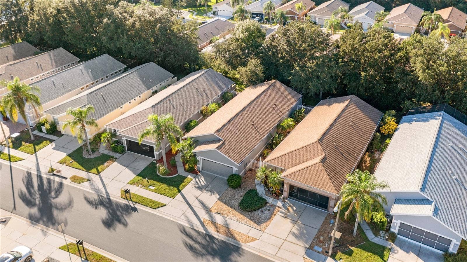 8103 SANGUINELLI ROAD, Land O Lakes, FL 34637 8103 SANGUINELLI ROAD, Land O Lakes, FL 34637