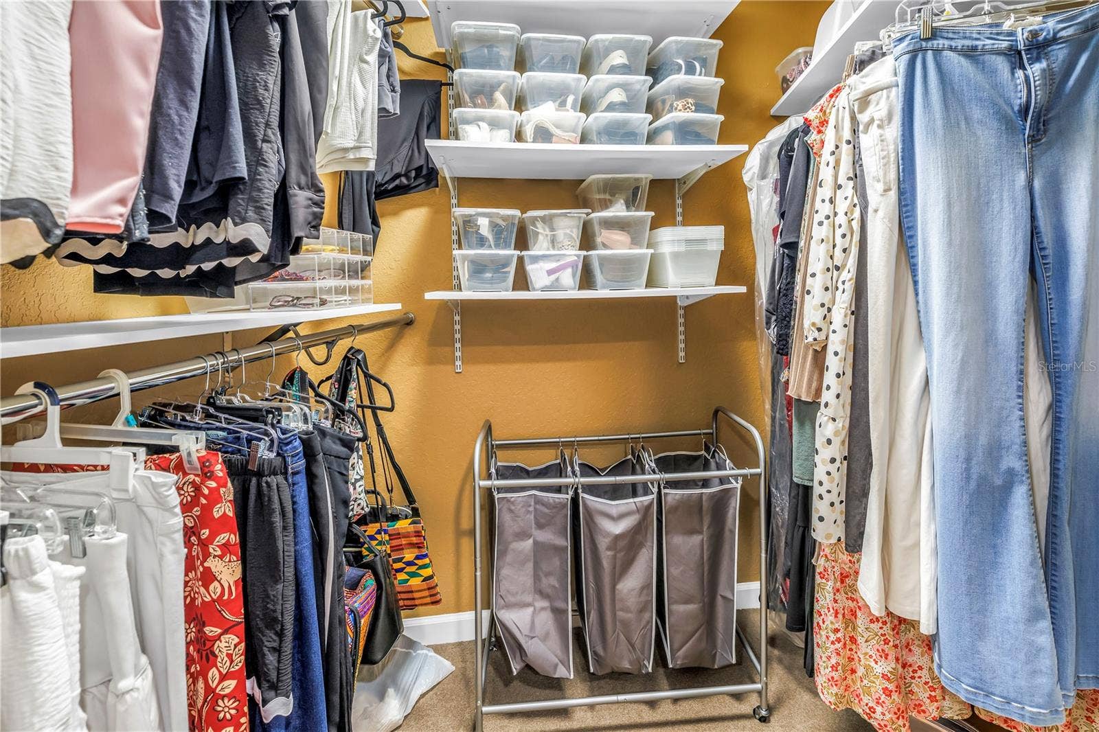 Walk in Primary Closet