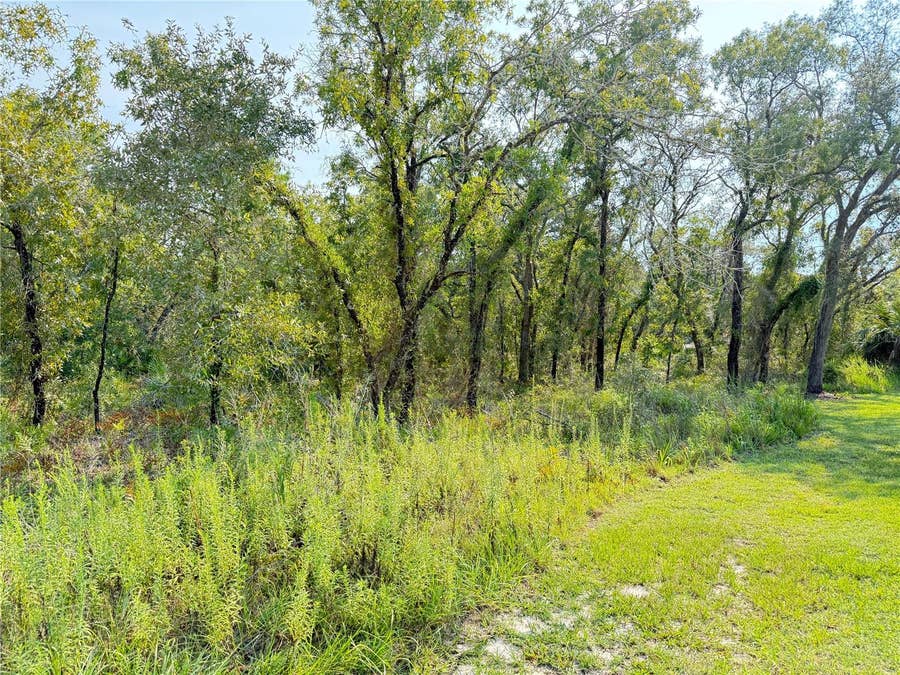 Property photo for 11096 MARSH WREN AVENUE, Weeki Wachee, FL