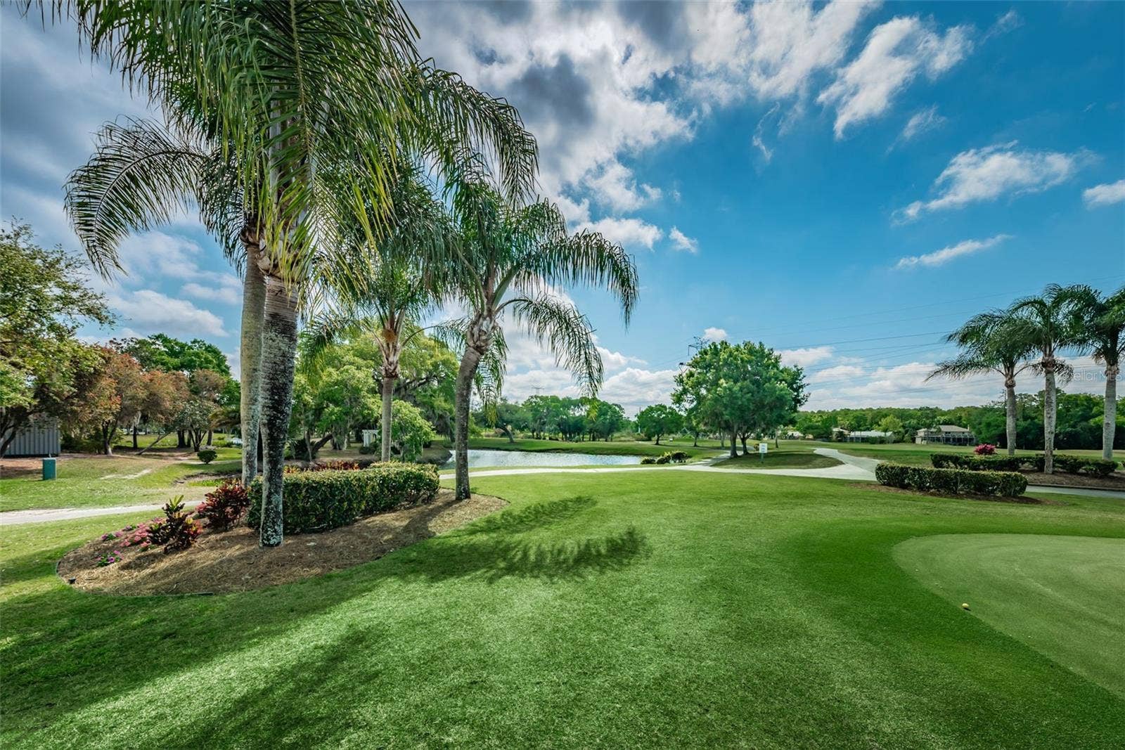 1558 E LAKE WOODLANDS PARKWAY, Oldsmar, FL 34677