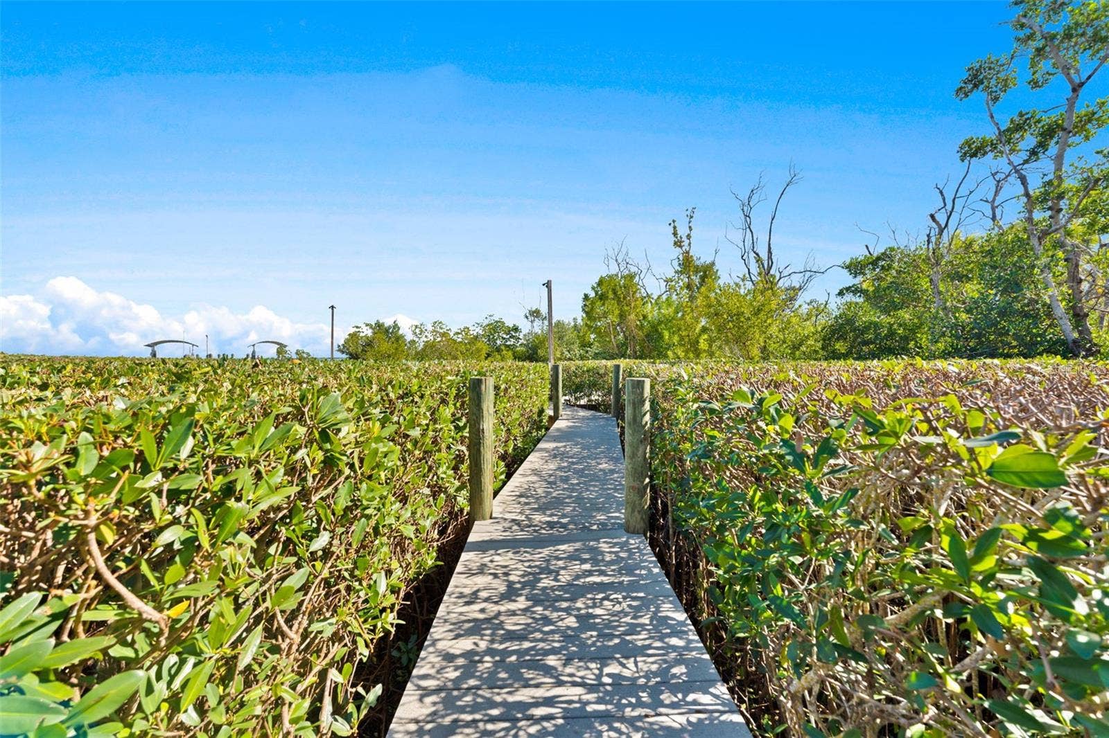 4150 SNAIL ISLAND COURT, Boca Grande, FL 33921 4150 SNAIL ISLAND COURT, Boca Grande, FL 33921