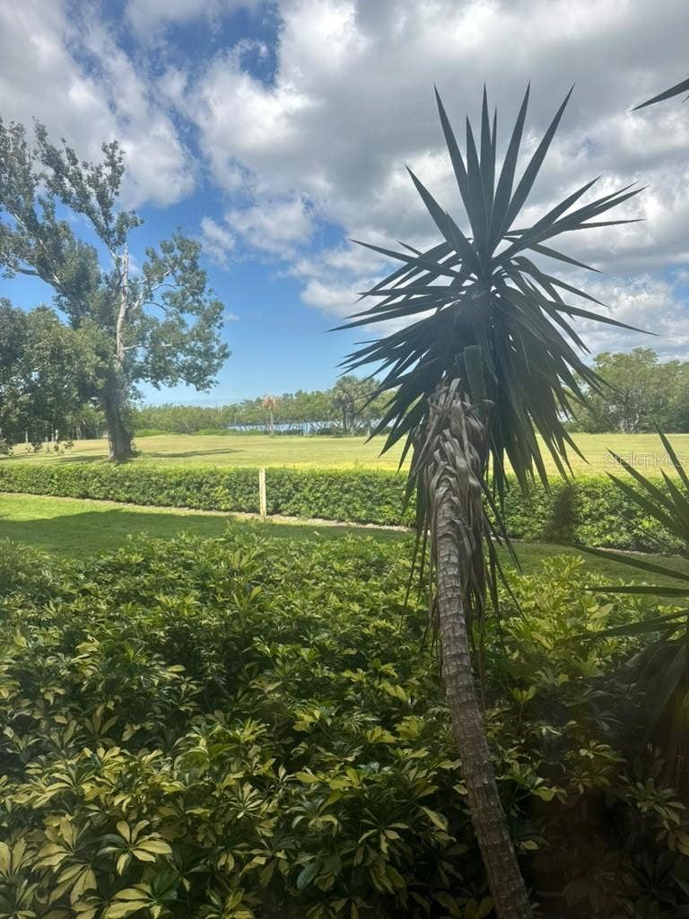 2617 COVE CAY DRIVE, #107, Clearwater, FL 33760 2617 COVE CAY DRIVE, #107, Clearwater, FL 33760