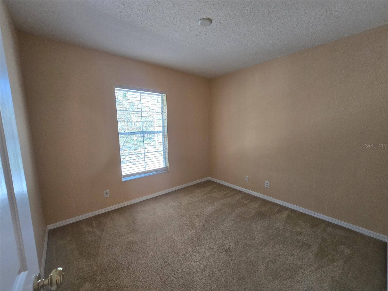 216 DRAW BRIDGE LANE, Valrico, FL 33594 216 DRAW BRIDGE LANE, Valrico, FL 33594