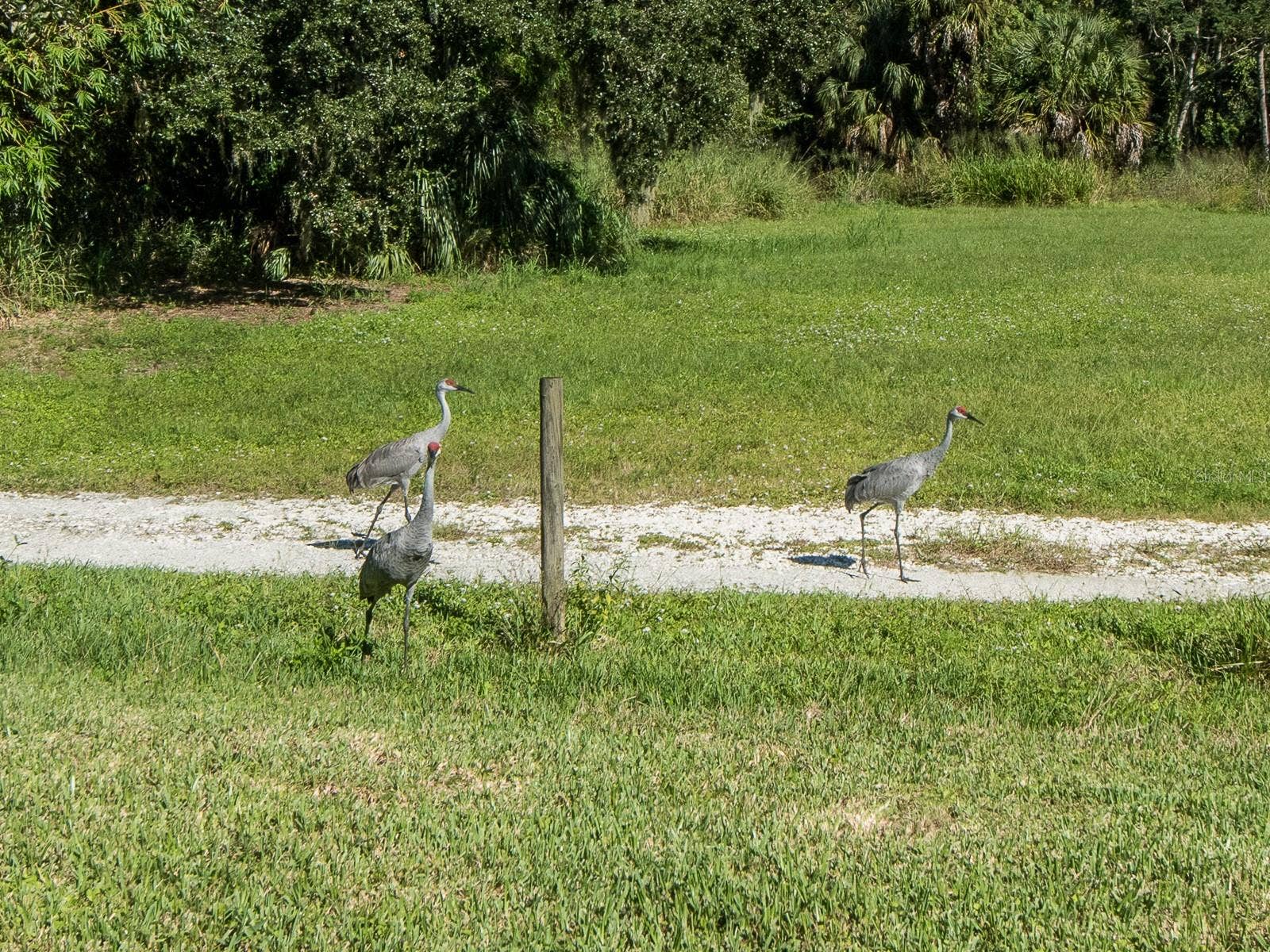 2267 50TH ST CIRCLE, Palmetto, FL 34221 2267 50TH ST CIRCLE, Palmetto, FL 34221