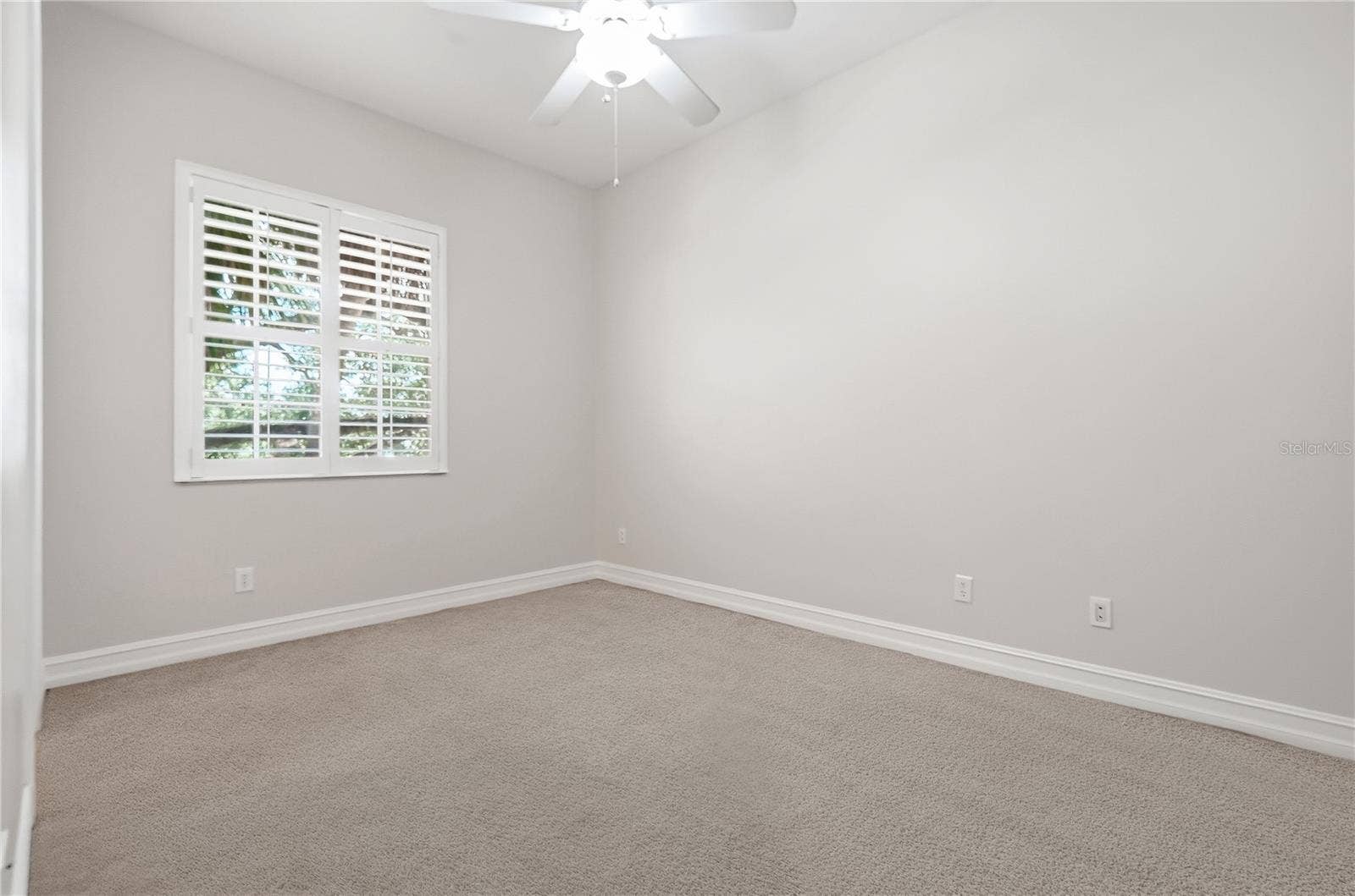 Tampa, FL 33609 Tampa, FL 33609