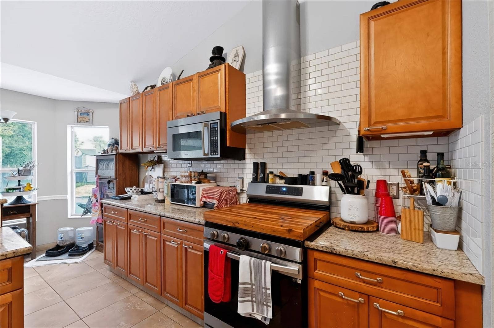 11009 THORNBERRY DRIVE, Spring Hill, FL 34608 11009 THORNBERRY DRIVE, Spring Hill, FL 34608