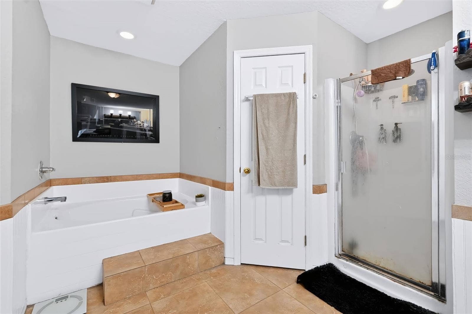11009 THORNBERRY DRIVE, Spring Hill, FL 34608 11009 THORNBERRY DRIVE, Spring Hill, FL 34608