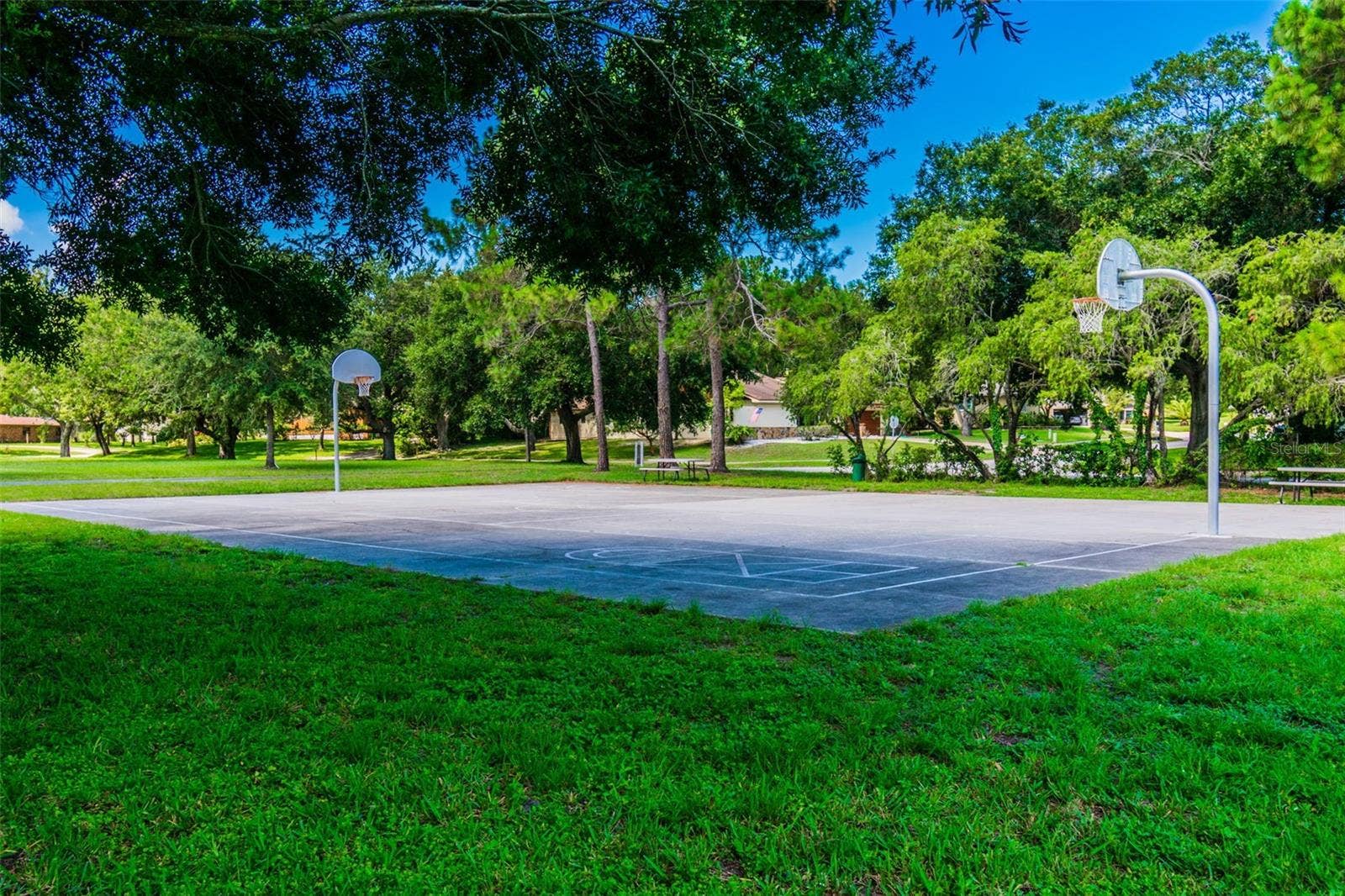 874 PINEWOOD TERRACE W, Palm Harbor, FL 34683